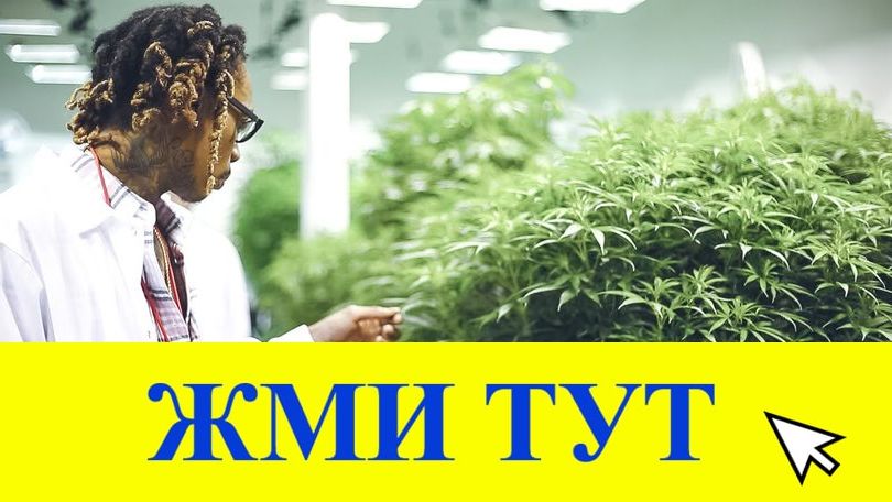 Купить наркотики в Бокситогорске